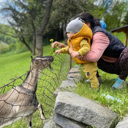 Domcek V Strani بيت خشبي Mýto pod Ďumbierom